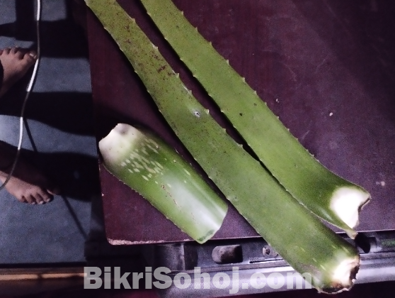 Alovara